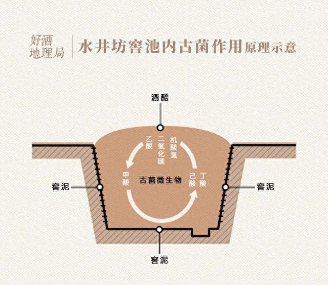 制图/好酒地理局视觉中心