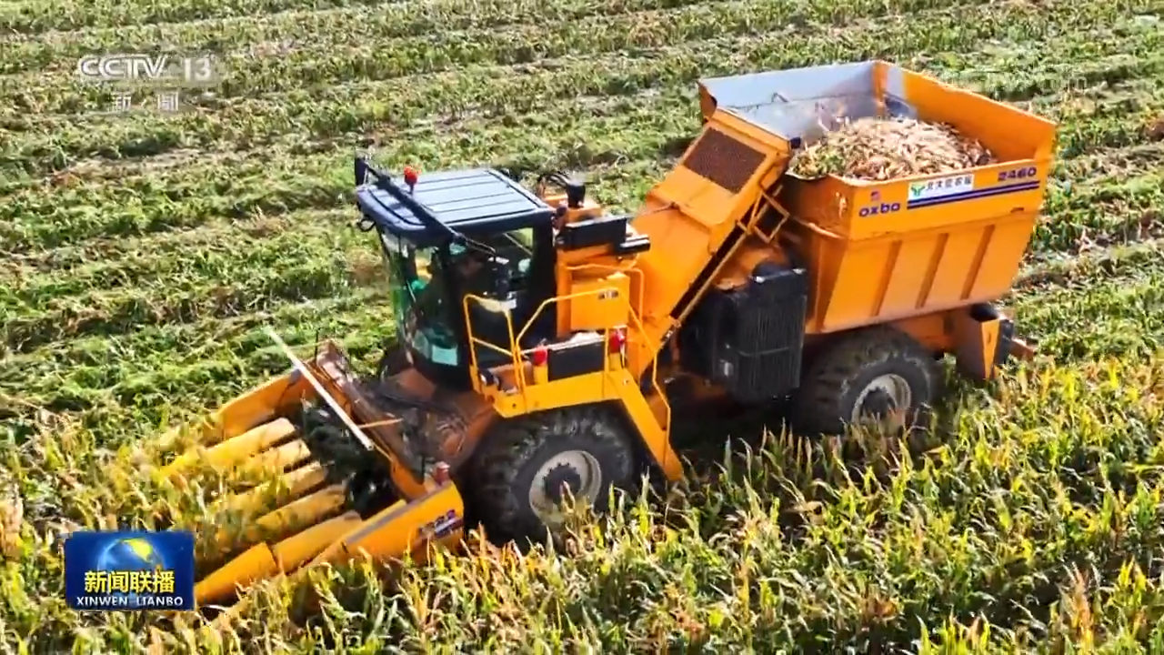 同庆农民丰收节，绘就和美乡村新画卷