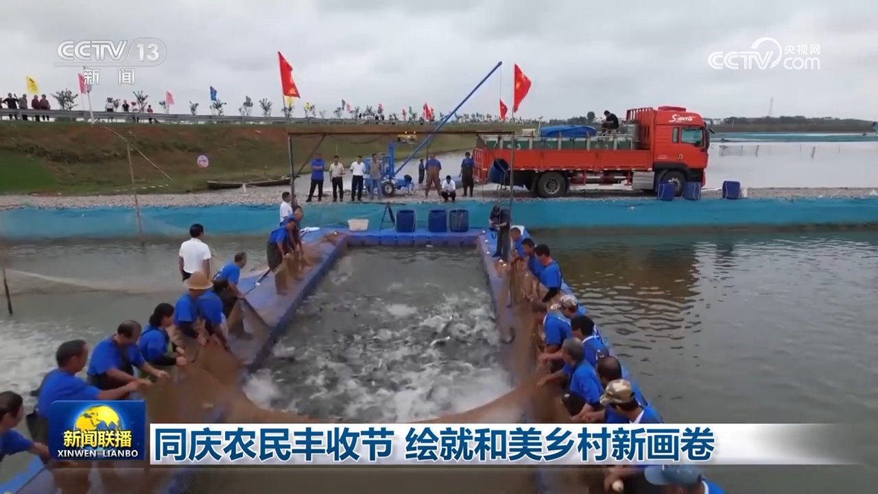 同庆农民丰收节，绘就和美乡村新画卷
