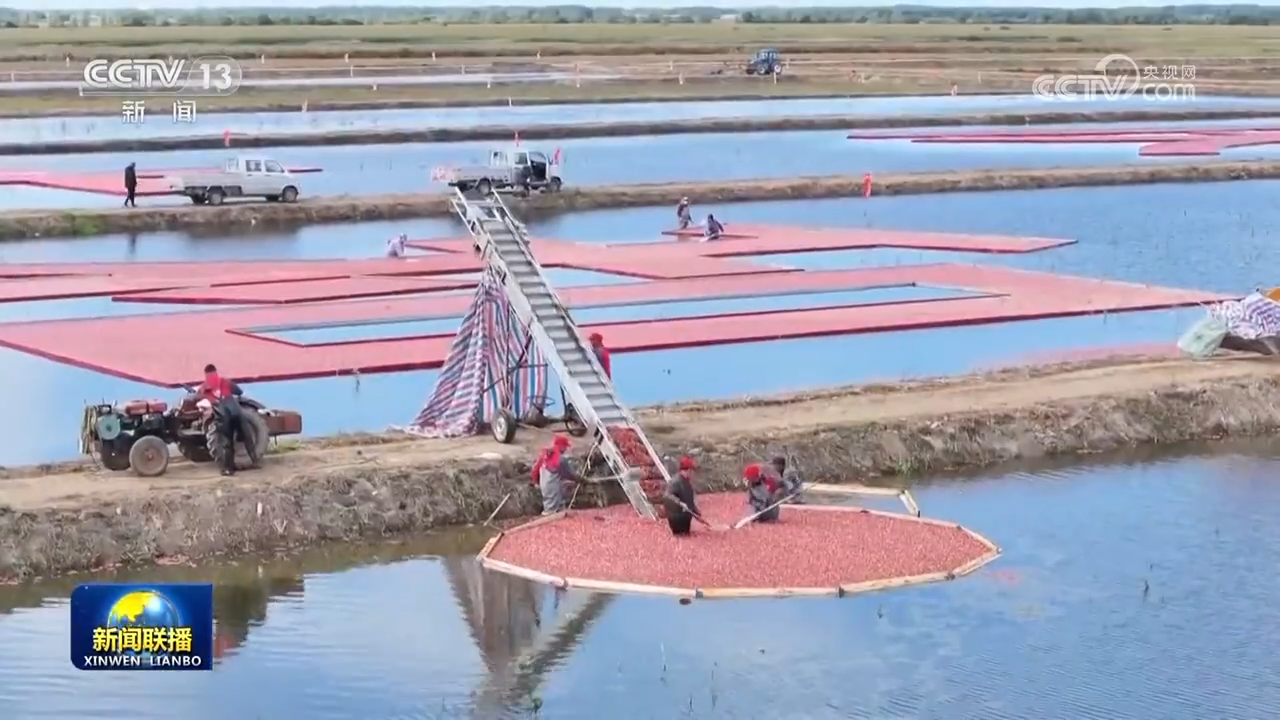 同庆农民丰收节，绘就和美乡村新画卷