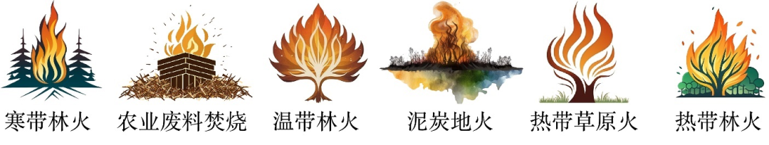 图1. 全球火源排放清单数据(GFED4.1)所涵盖的六种火类型