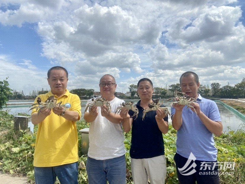 上海海洋大学马旭洲副教授(左一)、王春高级工程师、刘至治副教授和邹华锋博士在上海金泖水产专业合作社