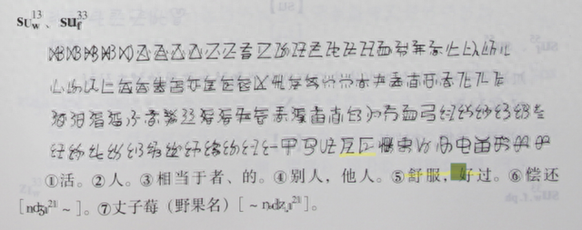 单一古彝文可表达多个释义(图源:《滇川黔桂彝文字集》 )