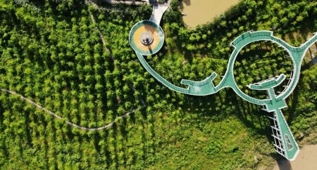 中山杉司法保護示範林認養牌。重慶市萬州區法院供圖