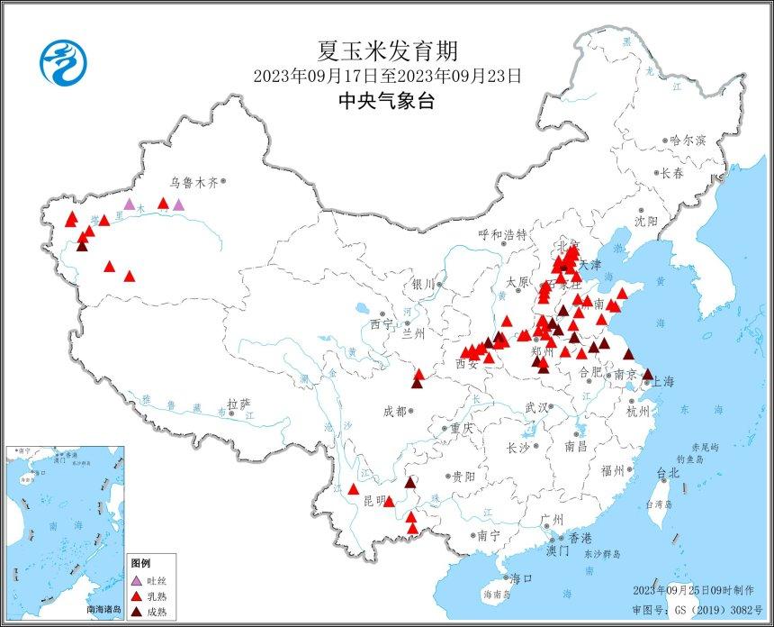 2023年第38周中国夏玉米发育监测