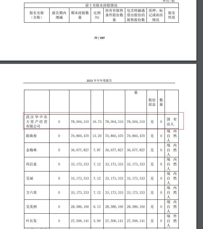 图片来源:公司半年报截图