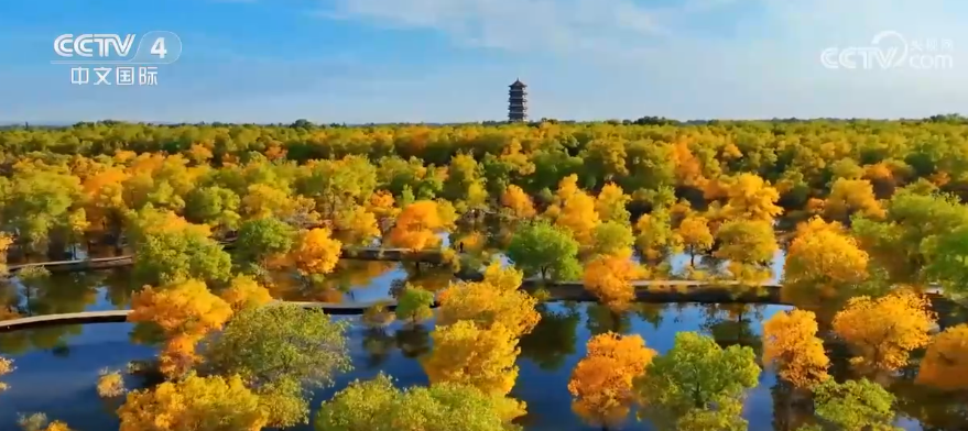 假日出行正当时 各地旅游消费热度持续攀升