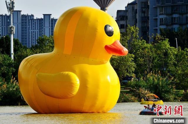 10月4日，福州市晉安湖公園的湖面上，15米高的充氣大黃鴨引人注目，成為公園一景。中新網記者 張斌 攝