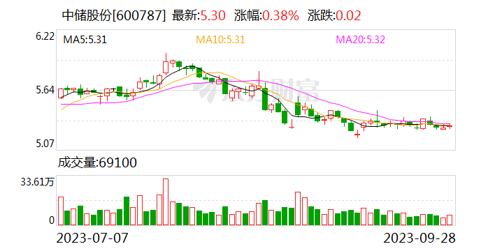未发现中储股份财报发生重大错报等 大华所被出具警示函