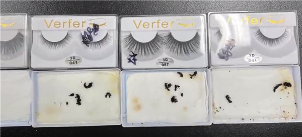 头皮发麻!海关查获“有毒”快件:612只蚂蚁、37只蝎子 全是外来物种