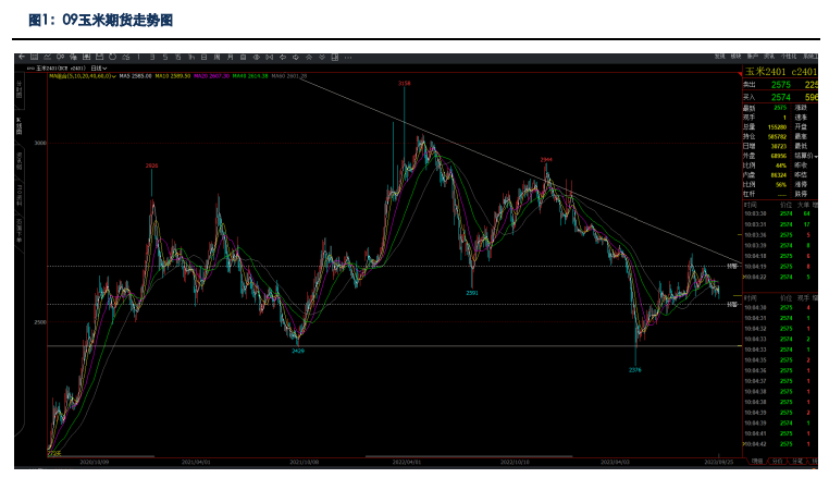 贸易商囤货意愿较差 预计玉米持续下跌