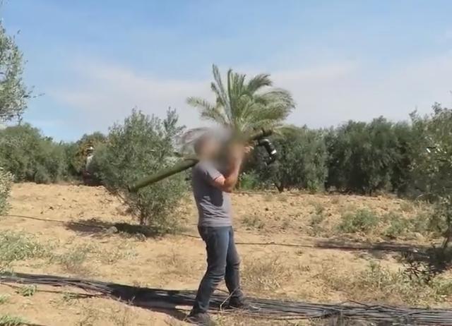哈馬斯使用便攜式防空導彈攻擊以軍戰機 視頻截圖