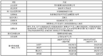 浙江爱康新能源科技股份有限公司关于为全资子公司提供担保的进展公告