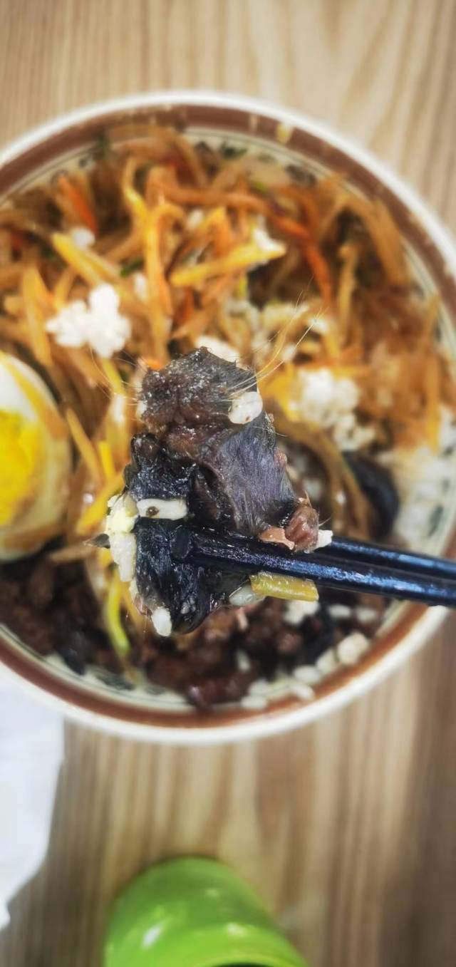 食堂被曝吃出鼠头？华北理工大学通报：与餐饮公司解除合同！承包方入驻仅数月