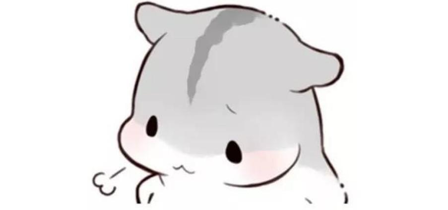 回调洗盘,数码视讯“青龙取水”,股价见底转强?