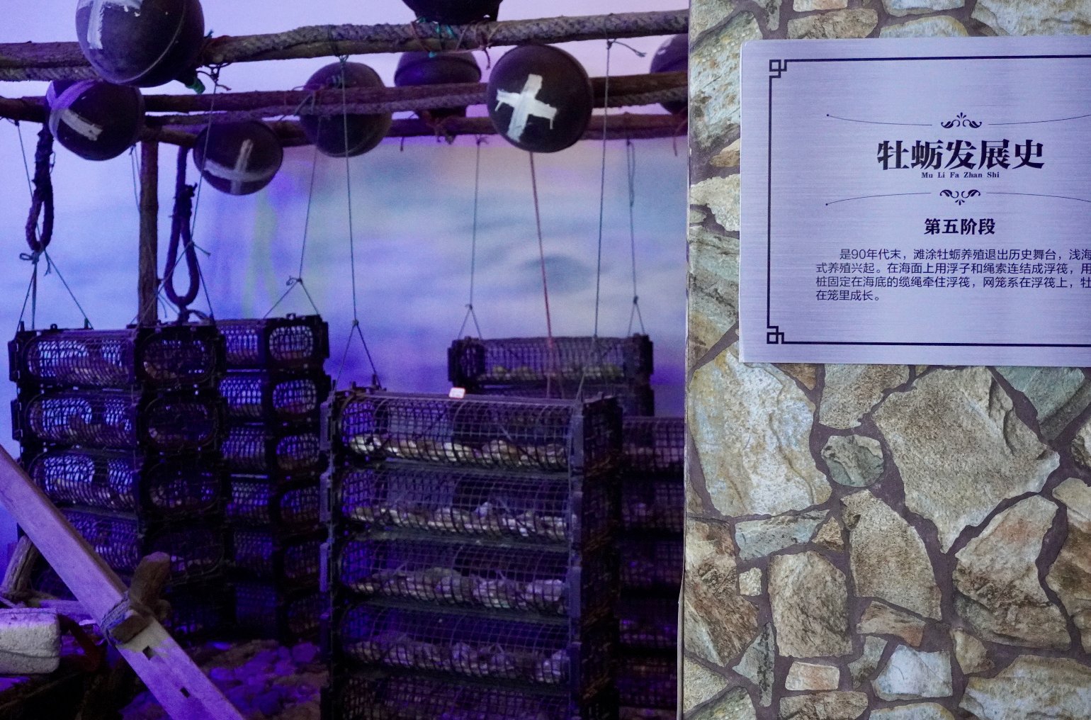 核污水排海后的生蚝养殖者:有人提前卖掉把钱攥手里,有人投入百万“孤注一掷”