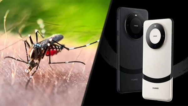 外媒惊叹:华为Mate60 Pro+拥有手机上最好的微距相机