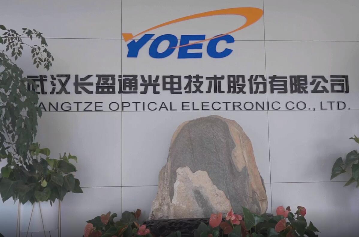 图片来源:视频截图