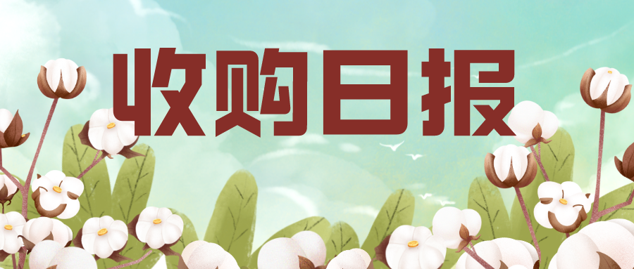 收购日报 | 新疆地区籽棉收购价一览（2023.10.17）