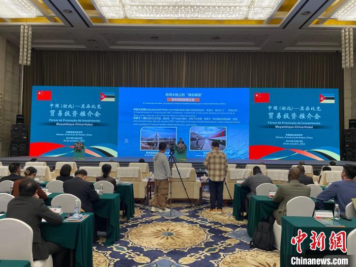 中国(湖北)—莫桑比克贸易投资推介会在武汉举行。　马芙蓉 摄