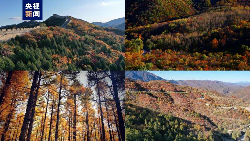 △八达岭红叶岭、松山、霞云岭、延庆珍珠泉秋景荟萃