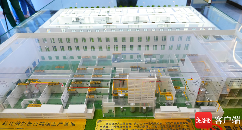 美安科技新城吸引创新药企落地,海南海口金熊药业有限公司正式落地海口国家高新区美安生态科技新城规模。记者 汪承贤 摄