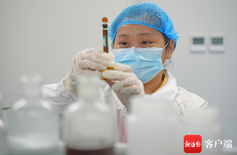 海口国家高新区美安生态科技新城金熊药业研究人员在监测转换熊胆粉饮片相关数据。记者 汪承贤 摄