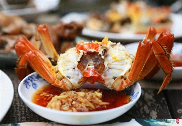 怎么选大闸蟹肥不肥视频 c71e-f0be28d950a0470e2ef798b1705fcdf1.jpg