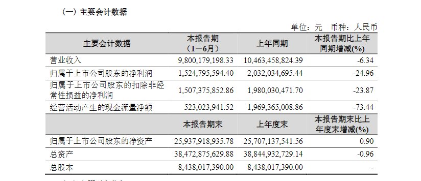 V观财报｜君正集团被警示：子公司涉嫌非法采矿未及时信披