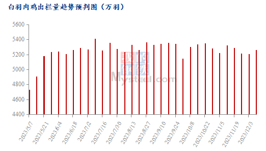 白羽肉鸡行情分析Mysteel解读：10月白羽肉鸡价格连跌触底，后续毛鸡能否顺势反弹？,第3张