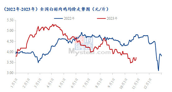 白羽肉鸡行情分析Mysteel解读：10月白羽肉鸡价格连跌触底，后续毛鸡能否顺势反弹？,第1张