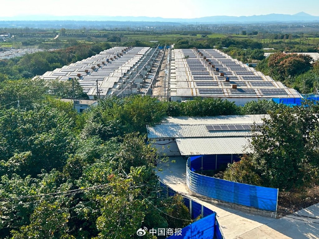 牧原股份在猪场房屋顶上设置的光伏发电设施。