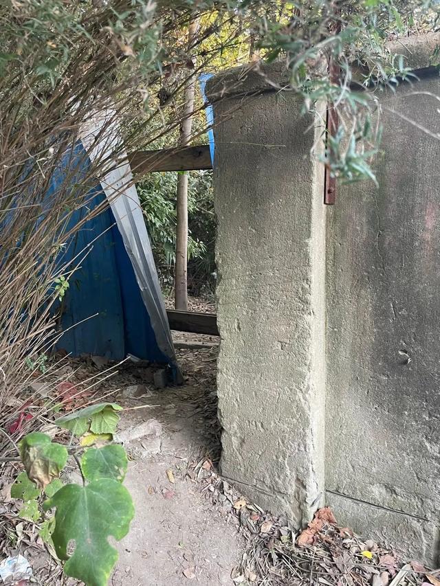 图片来源:澎湃新闻