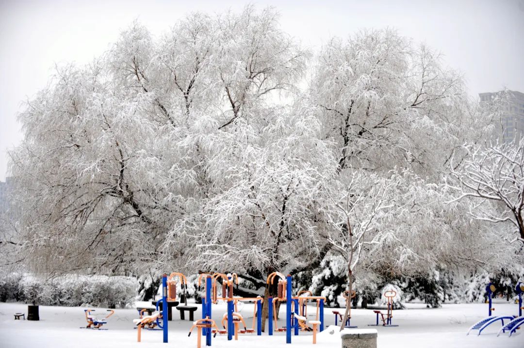 △2022年初雪