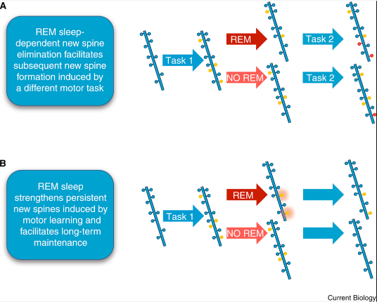 e277-2e0a2decf75ab6e7642e232dd050e80c.png