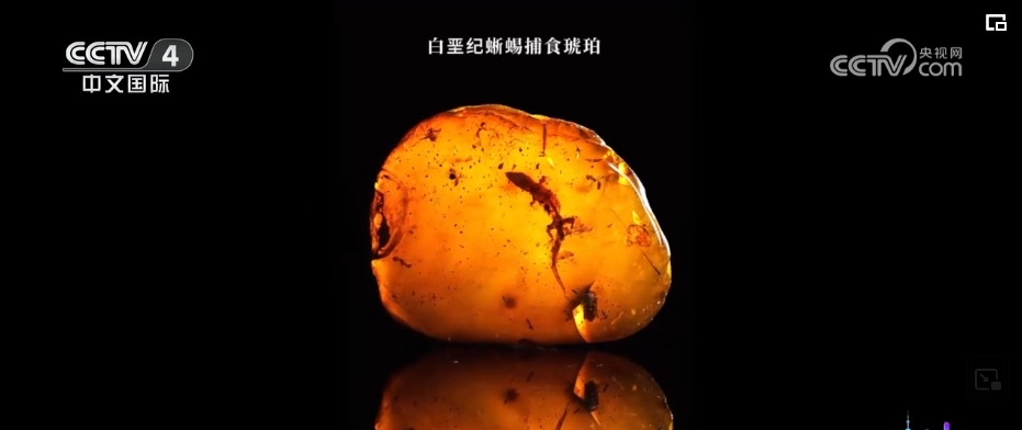 探馆进博之“最” 推动最不发达国家出口增长 共创发展价值