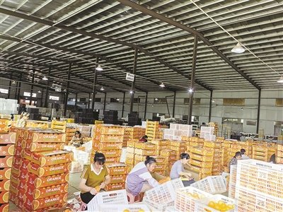 京东食品批发市场在哪