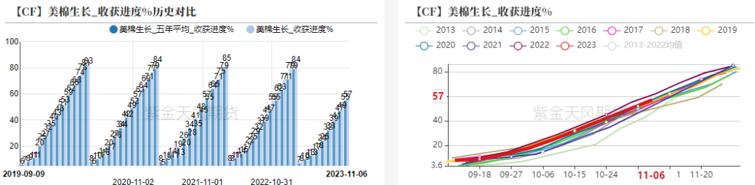 棉花：月间机会尚存，中期偏空