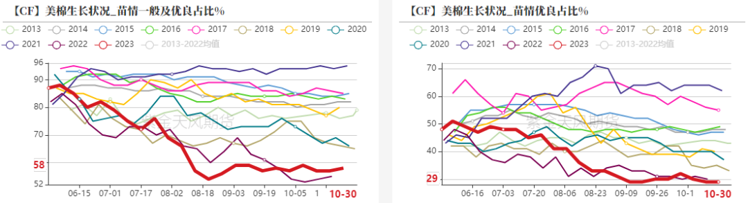 棉花：月间机会尚存，中期偏空