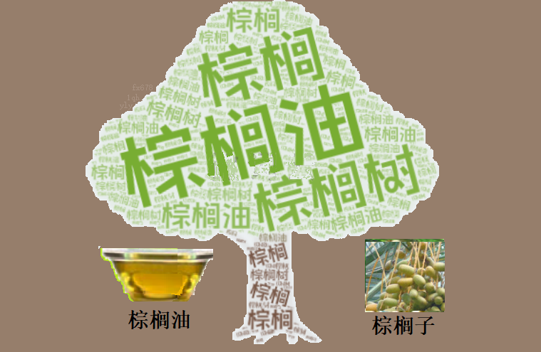 棕榈油因芝加哥豆油走强而上涨,但出口限制上涨