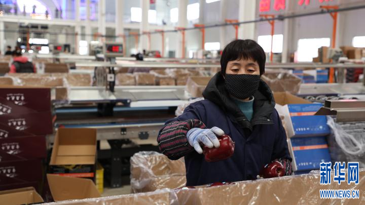 11月20日,在甘肃省平凉市庄浪县水洛镇一家果品公司的选果车间,工人正将经过智能分选后的苹果装箱。新华社记者 张智敏 摄