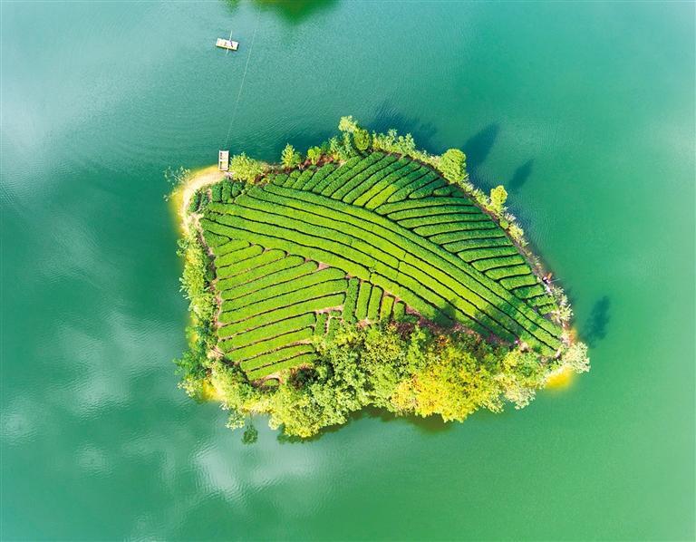 湄潭湖水茶山。杨舰 摄