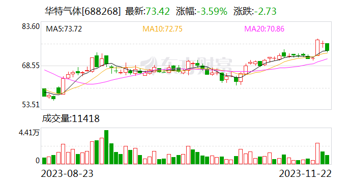 华特气体：11月22日首次回购公司股份3.48万股