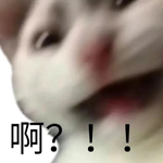 AI宫斗大戏落幕!被开除的ChatGPT之父回归:网友要笑死了