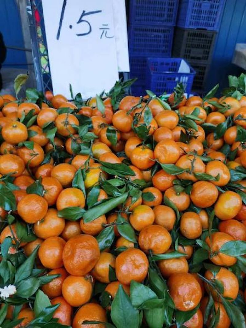 “往年买一个,今年买一箱”!记者调查水果价格为何全线大跳水