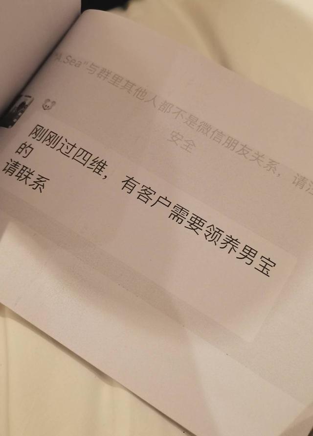 中介群里的“领养信息”(受访者供图)
