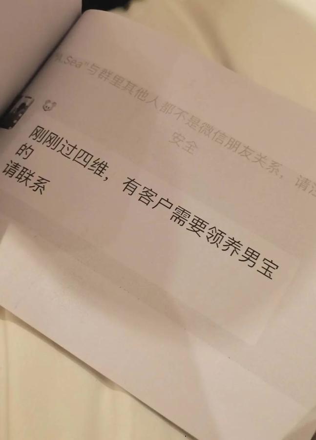 中介群里的“领养信息”。受访者供图