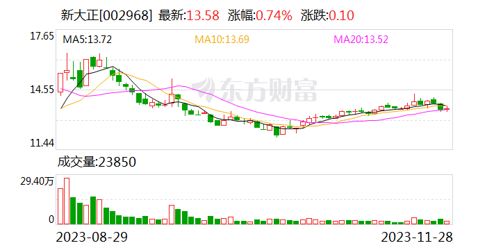 新大正开始实施股份回购