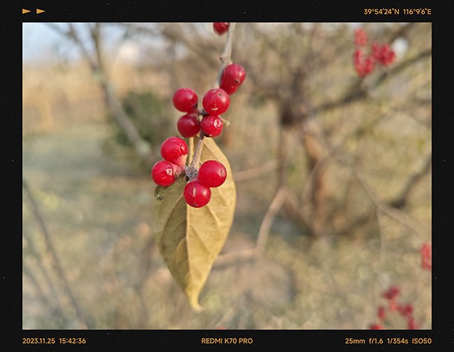 性能继续拉满 体验全方位突破 Redmi K70 Pro评测