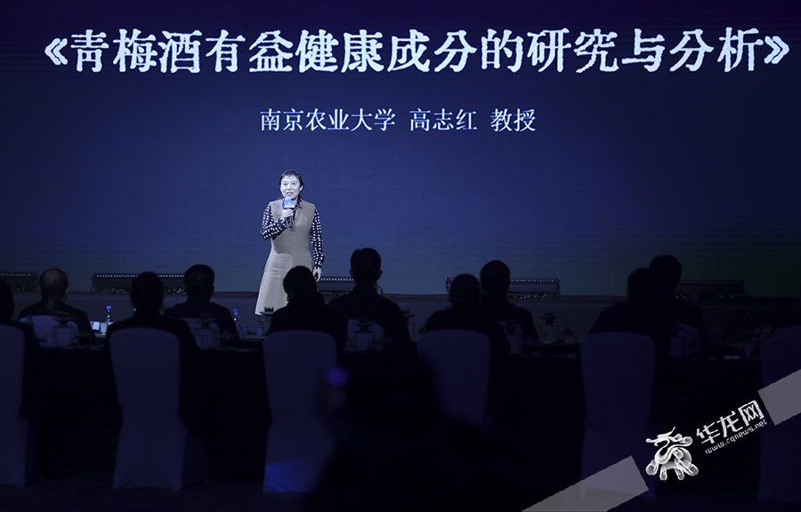 南京农业大学高志红教授作分享。华龙网首席记者 李文科 摄